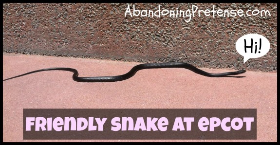 disney snake edit